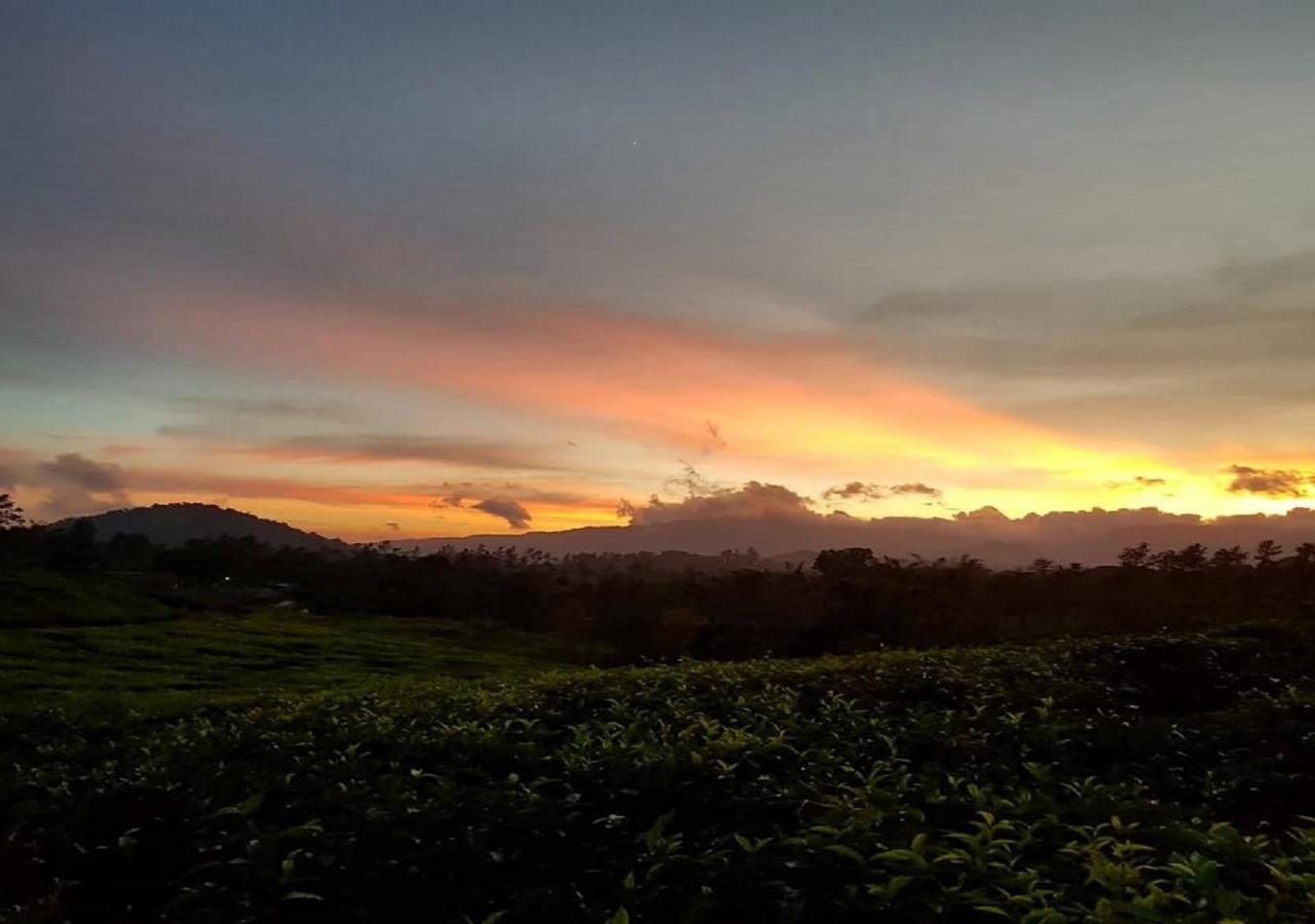 Glad Valley Wayanad By Lexstays-Tea Estate Villa Exterior foto